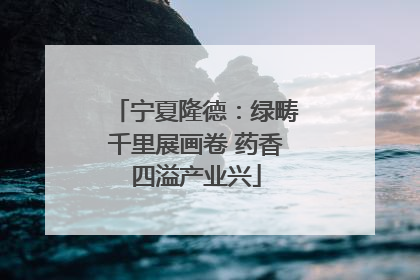 宁夏隆德：绿畴千里展画卷 药香四溢产业兴