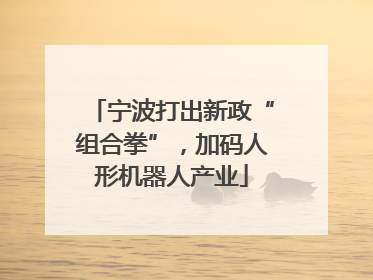 宁波打出新政“组合拳”，加码人形机器人产业