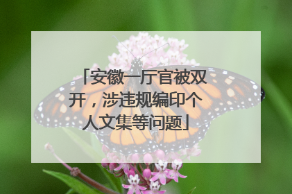 安徽一厅官被双开，涉违规编印个人文集等问题