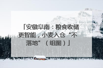安徽阜南：粮食收储更智能，小麦入仓“不落地”（组图）