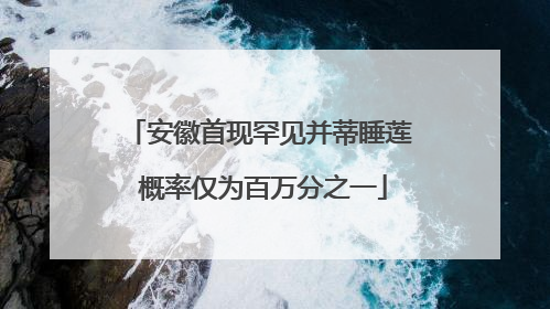 安徽首现罕见并蒂睡莲 概率仅为百万分之一