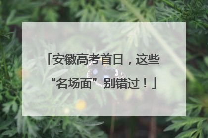 安徽高考首日，这些“名场面”别错过！