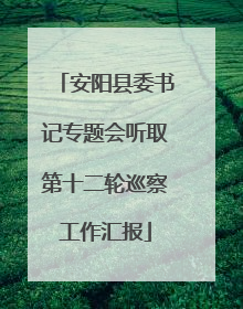 安阳县委书记专题会听取第十二轮巡察工作汇报