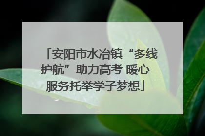 安阳市水冶镇“多线护航”助力高考 暖心服务托举学子梦想