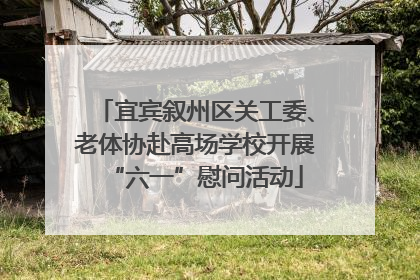 宜宾叙州区关工委、老体协赴高场学校开展“六一”慰问活动