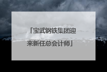 宝武钢铁集团迎来新任总会计师
