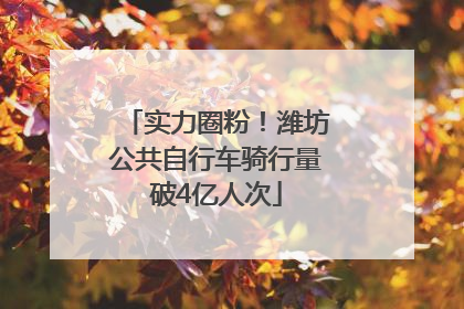 实力圈粉！潍坊公共自行车骑行量破4亿人次