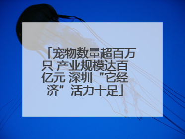 宠物数量超百万只 产业规模达百亿元 深圳“它经济”活力十足