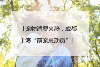 宠物消费火热，成都上演“萌宠总动员”