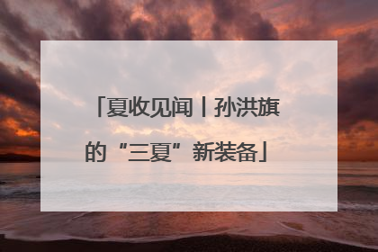 夏收见闻丨孙洪旗的“三夏”新装备