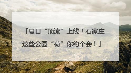 夏日“顶流”上线！石家庄这些公园“荷”你约个会！