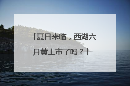 夏日来临，西湖六月黄上市了吗？