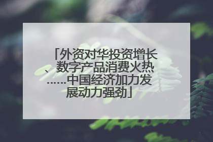 外资对华投资增长、数字产品消费火热……中国经济加力发展动力强劲