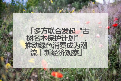 多方联合发起“古树名木保护计划”，推动绿色消费成为潮流丨新经济观察