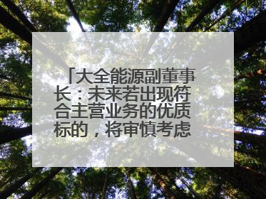 大全能源副董事长：未来若出现符合主营业务的优质标的，将审慎考虑并购机会
