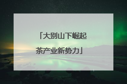 大别山下崛起茶产业新势力
