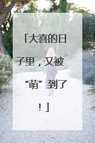 大喜的日子里，又被“萌”到了！