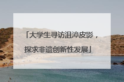 大学生寻访沮漳皮影，探求非遗创新性发展