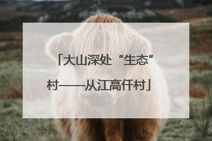 大山深处“生态”村——从江高仟村