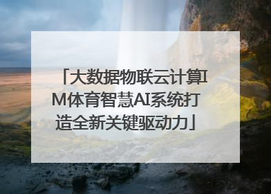 大数据物联云计算IM体育智慧AI系统打造全新关键驱动力