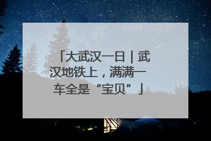 大武汉一日｜武汉地铁上，满满一车全是“宝贝”