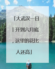 大武汉一日︱开到六月底，这里的花比人还高