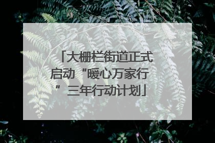 大栅栏街道正式启动“暖心万家行”三年行动计划