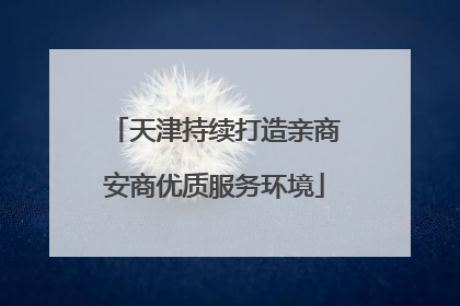 天津持续打造亲商安商优质服务环境