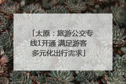 太原：旅游公交专线1开通 满足游客多元化出行需求