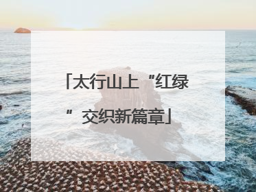 太行山上“红绿”交织新篇章