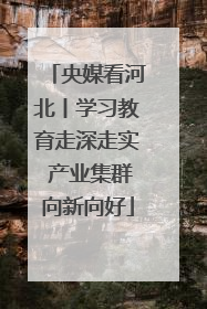 央媒看河北丨学习教育走深走实 产业集群向新向好