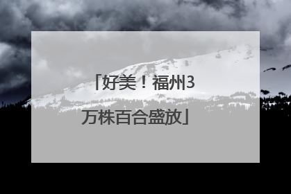 好美！福州3万株百合盛放
