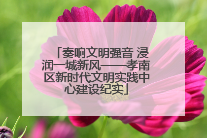 奏响文明强音 浸润一城新风——孝南区新时代文明实践中心建设纪实