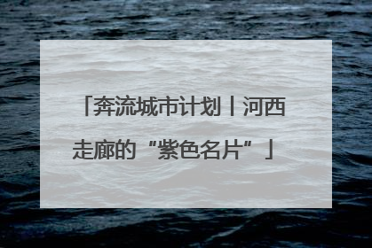 奔流城市计划丨河西走廊的“紫色名片”