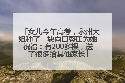 女儿今年高考，永州大姐种了一块向日葵田为她祝福：有200多棵，送了很多给其他家长