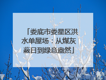 娄底市娄星区洪水单屋场：从煤灰蔽日到绿意盎然