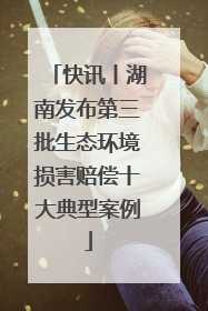 快讯丨湖南发布第三批生态环境损害赔偿十大典型案例