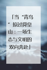 当“青鸟”掠过舜皇山：一场生态与文明的双向奔赴
