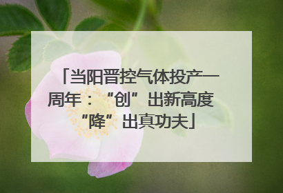 当阳晋控气体投产一周年：“创”出新高度 “降”出真功夫