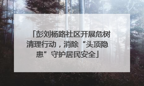 彭刘杨路社区开展危树清理行动，消除“头顶隐患”守护居民安全