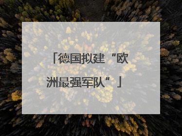 德国拟建“欧洲最强军队”