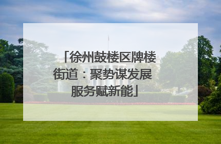 徐州鼓楼区牌楼街道：聚势谋发展 服务赋新能