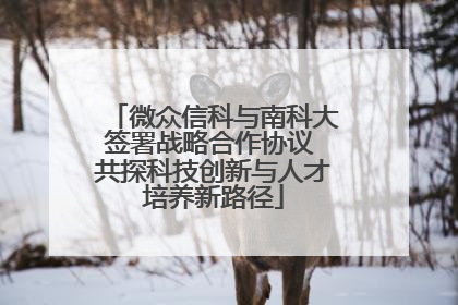 微众信科与南科大签署战略合作协议 共探科技创新与人才培养新路径