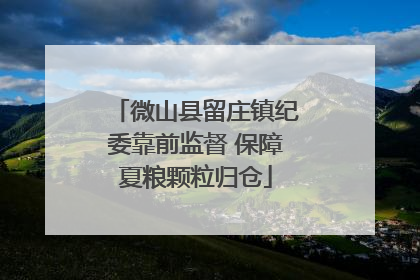 微山县留庄镇纪委靠前监督 保障夏粮颗粒归仓