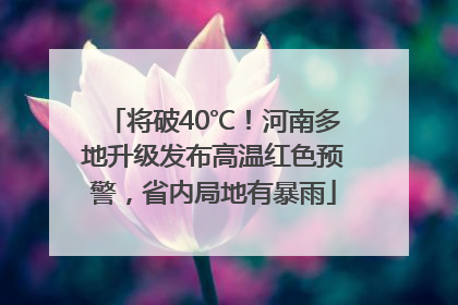 将破40℃！河南多地升级发布高温红色预警，省内局地有暴雨