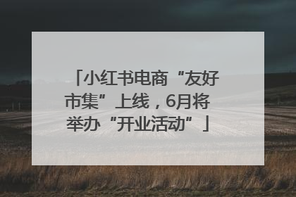 小红书电商“友好市集”上线，6月将举办“开业活动”