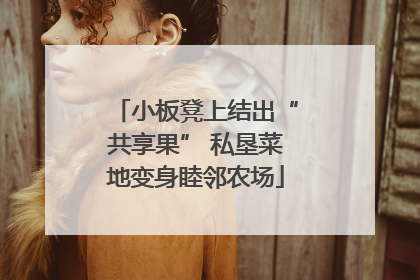 小板凳上结出“共享果” 私垦菜地变身睦邻农场