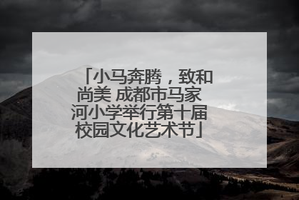 小马奔腾，致和尚美 成都市马家河小学举行第十届校园文化艺术节