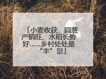 小麦收获、圆葱产销旺、水稻长势好……乡村处处是“丰”景