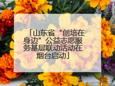 山东省“创培在身边”公益志愿服务基层联动活动在烟台启动
